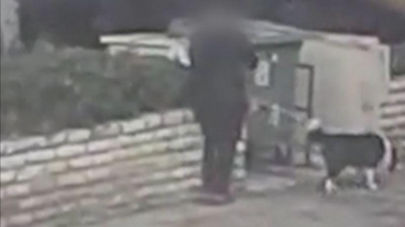 תיעוד: תושב חיפה מצית דגל ישראל ברחוב