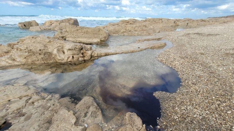 מטריד: זיהום סולר חריף אותר בשמורת הטבע שקמונה