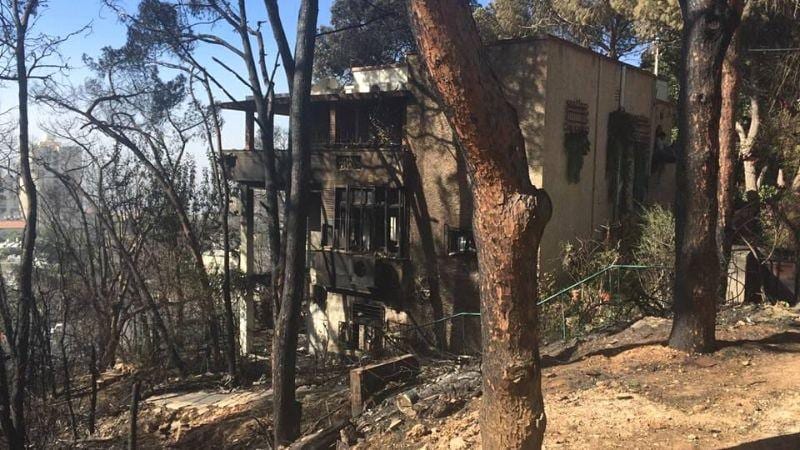 7 שנים לשריפה בחיפה: "מה שהיה לא יחזור, צריך להשאיר את זה בראש סדר העדיפויות"
