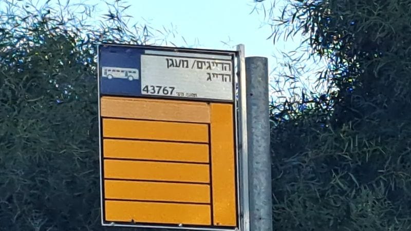רשות נחל הקישון למשרד התחבורה: "הסדירו תחבורה ציבורית לפארק הקישון ולמעגנת שביט"