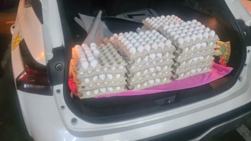 כ-1,000 ביצים שנמכרו ללא פיקוח הושמדו ברחוב חניתה